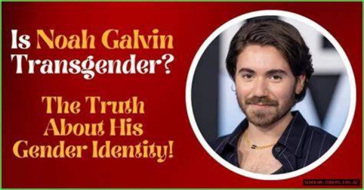 Noah Gavin Gender Identity: Is Noah Gavin Transgender?
