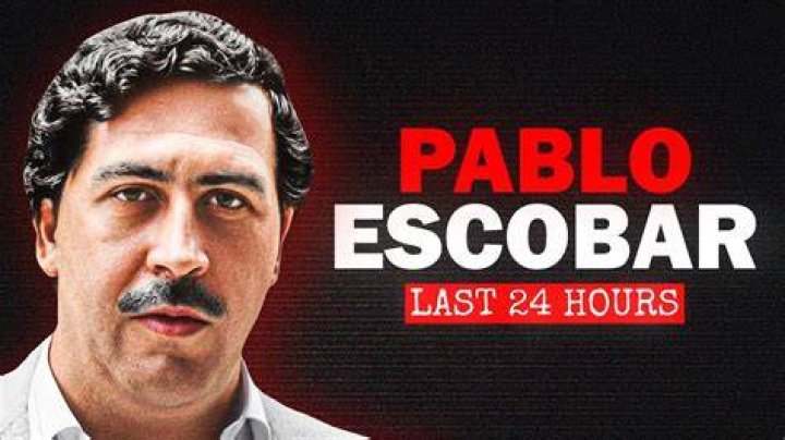Pablo Escobar&rsquo;s Final 24 Hours Animalsmeal