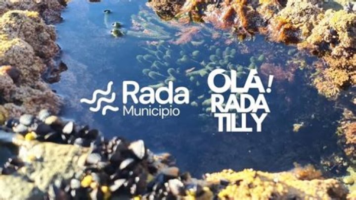 patricia pinto rada tilly RTN
