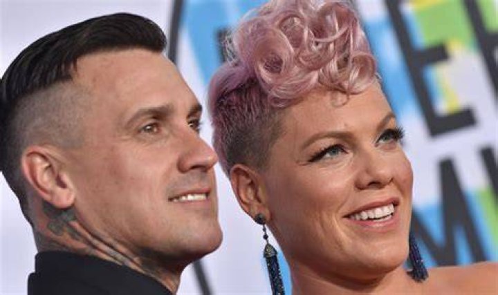 Pink Net Worth