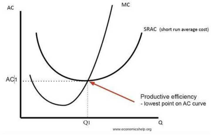 Productive Efficiency