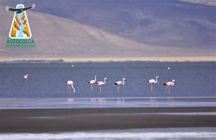 Salinas tiene una importante raz&oacute;n para reducir dos tallas m&aacute;s