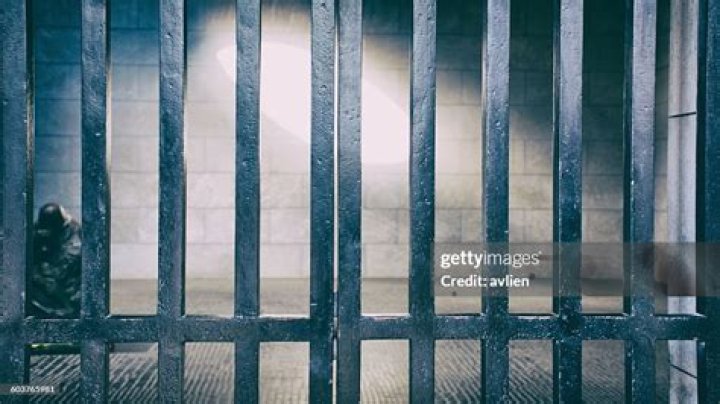 s&eacute;curit&eacute; des barreaux de prison 2786875 Art vectoriel chez Vecteezy