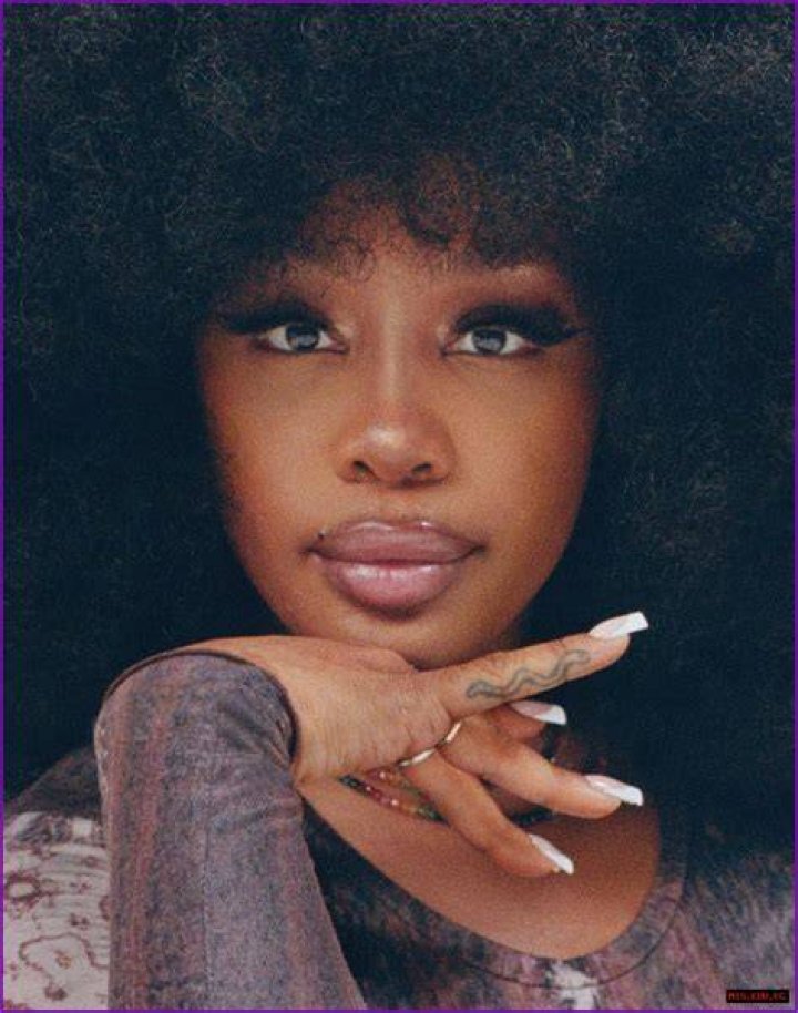 SZA's Nigerian Roots: Exploring Her Heritage And Influences