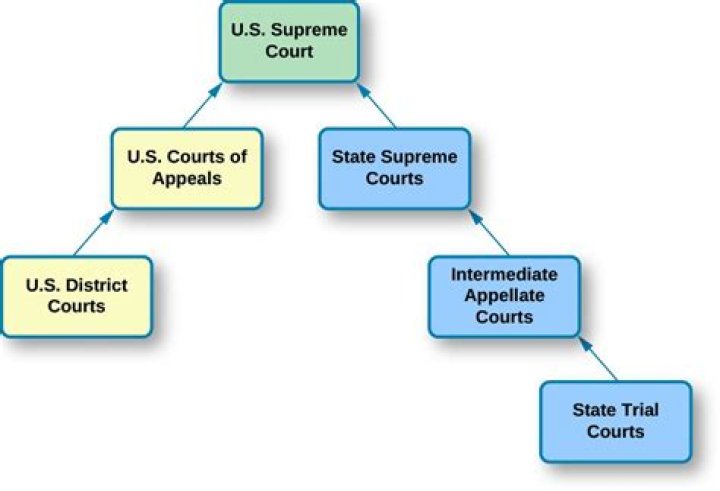 The Dual Court System American Government Course Hero