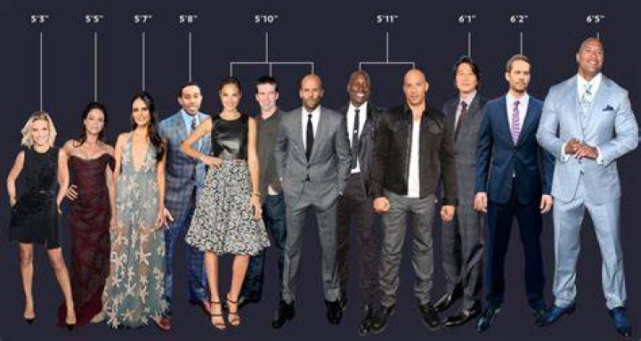 The True Height of Fast and Furious Actors, in One Helpful Graphic