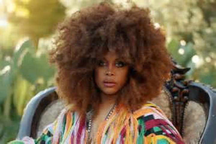The Ultimate Guide To Erykah Badu's Net Worth: Exploring Her Financial Success