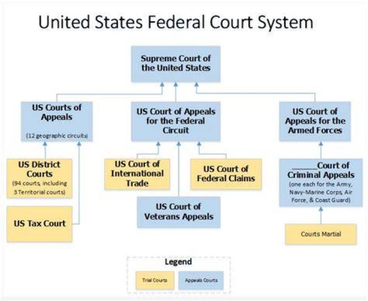 The U.S. Court System, Explained Democracy Docket