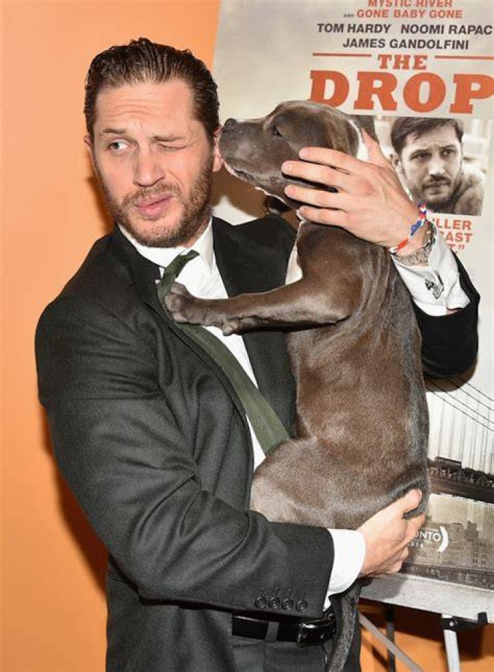 Tom Hardy Brought His Dog To His Film Premiere And You Are So