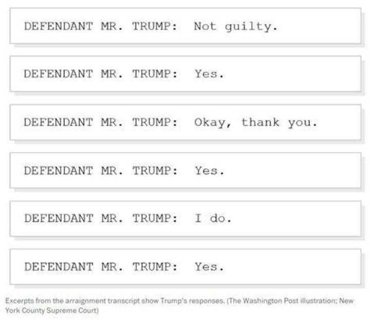 Trump said only 10 words during his arraignment. Here&rsquo;s what they were