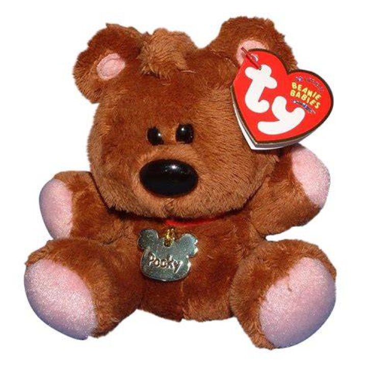 Ty Beanie Buddy Pooky Plush Stuffed Toy Garfield Teddy Bear Collectible
