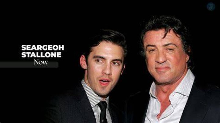 Unveiling Seargeoh Stallone's Age: Discoveries And Insights
