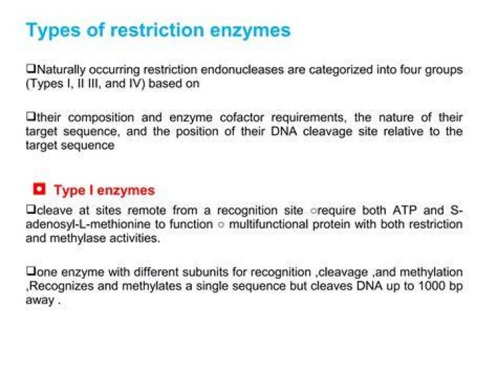 What are the 4 types of restriction enzymes?
