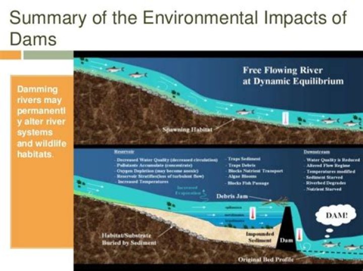 What are the environmental impacts of dams?