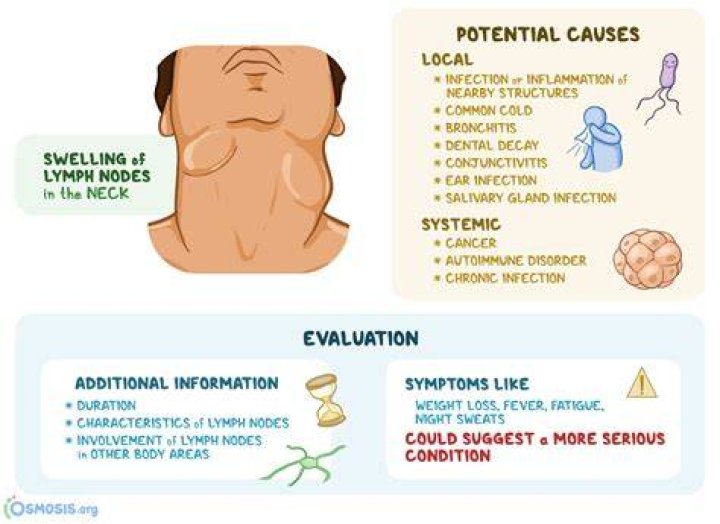 What causes submandibular lymph nodes to swell?