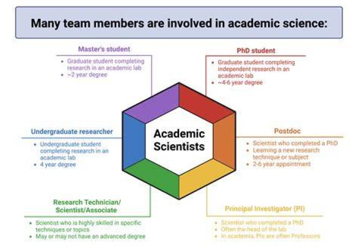 What does an academic department do?