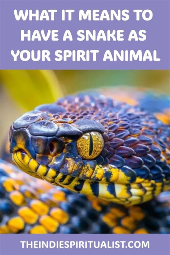 What does it mean to have a snake as your spirit animal?