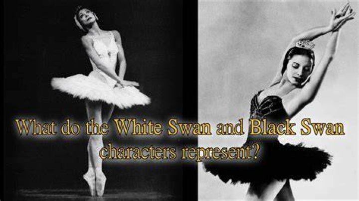 What does the black swan represent in Swan Lake?