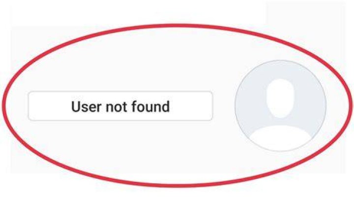What Does User Not Found Instagram Error Mean? [Explained 2022]