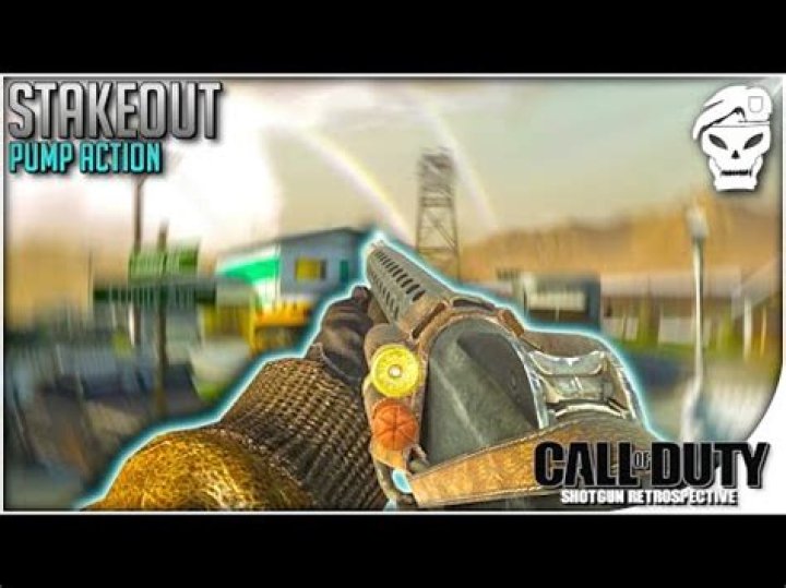 What gun is the stakeout in bo1?