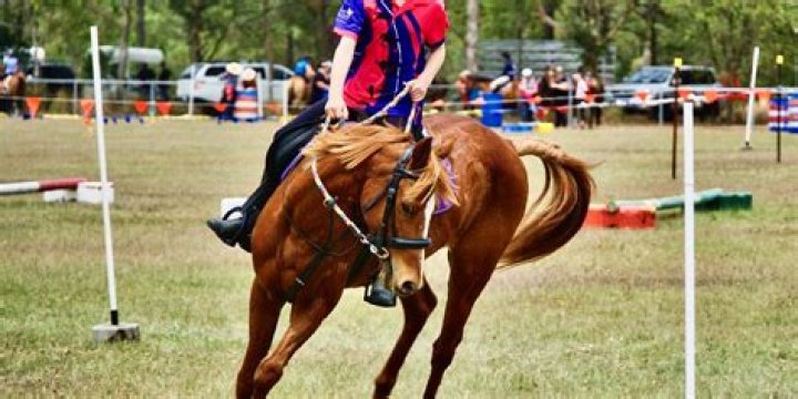 What is a pony gymkhana?