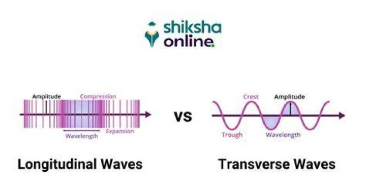 What is a two wave longitudinal study?