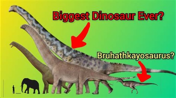 What is bigger than Bruhathkayosaurus?