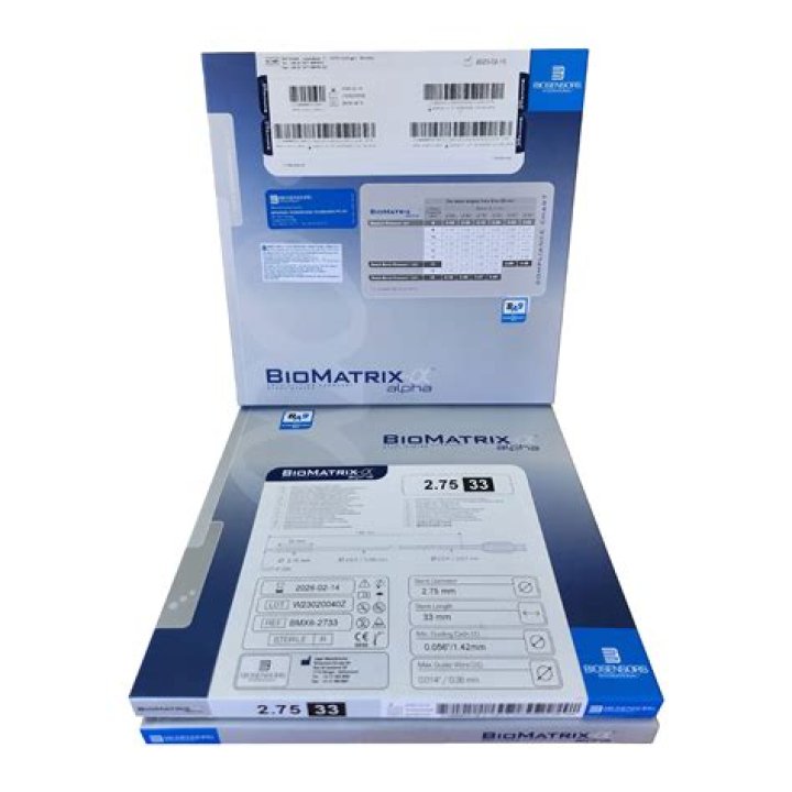 What is BioMatrix stent?