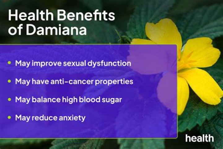 What is damiana tincture good for?