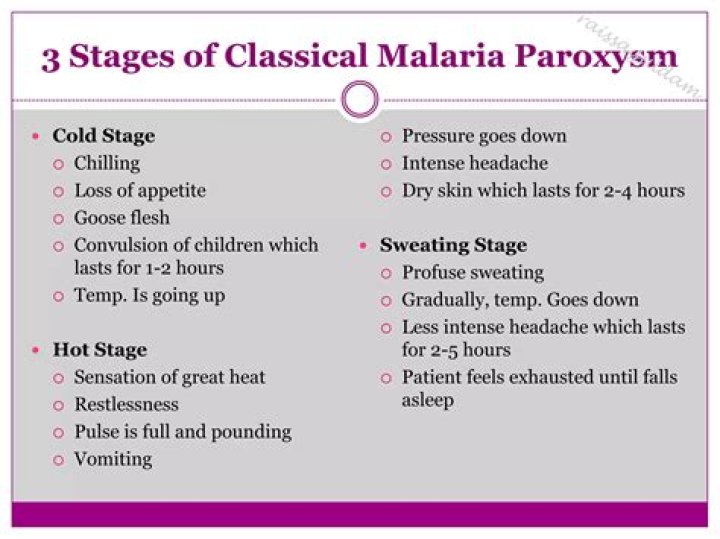 What is malaria paroxysm?