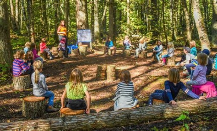 What is outdoor learning in primary schools?