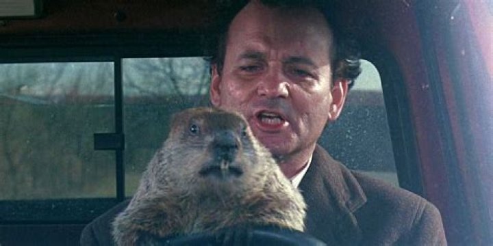 What is the plot of Groundhog Day?