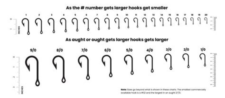 What size hook do you use for grouper?