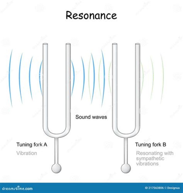 Which tuning fork is best for vibration sense?