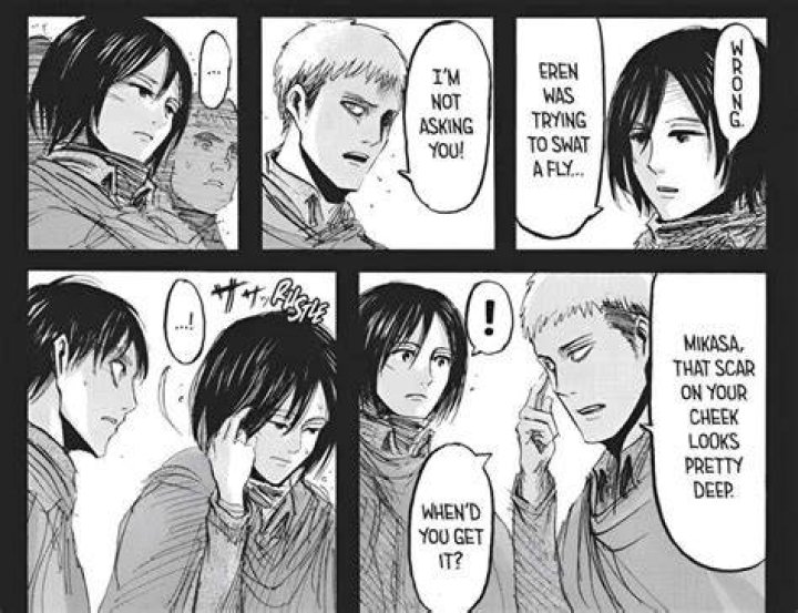 Who Does Mikasa Marry In Attack On Titan? [Heavy Spoiler!]