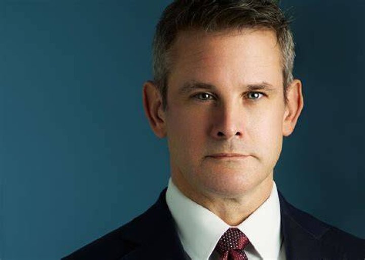 Who is Adam Kinzinger's wife, Sofia BozaHolman? The US Sun