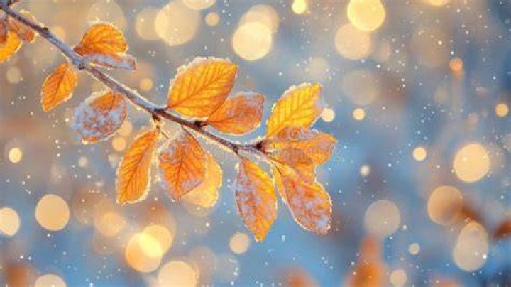 Winter's Wrath To Autumn's Glow