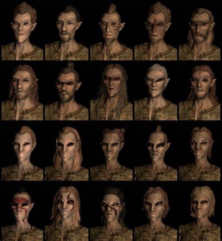 Wood Elf Or Bosmer Race And Their Names In Skyrim The Elder Scrolls V