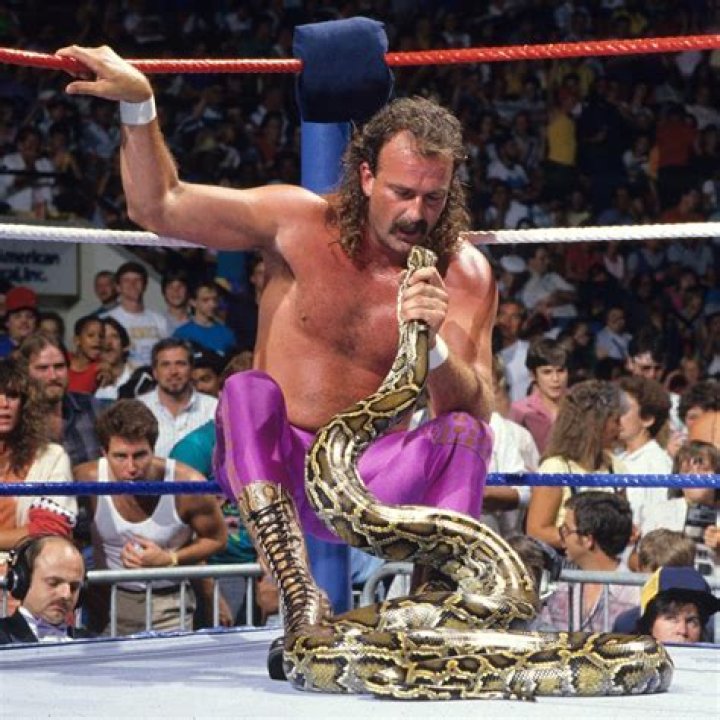 WWE Legend Jake The Snake Roberts Is Still Standing Rolling Stone